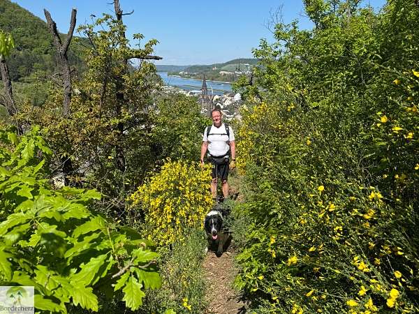 2-Tage-Abenteuer: Wandern auf Rheinsteig und RheinBurgenWeg 12 rheinburgenweg