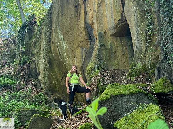 2-Tage-Abenteuer: Wandern auf Rheinsteig und RheinBurgenWeg 17 hohe buche rheinburgenweg