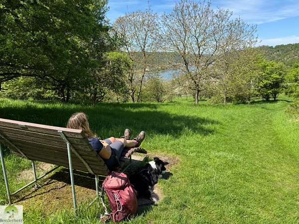2-Tage-Abenteuer: Wandern auf Rheinsteig und RheinBurgenWeg 31 rheinsteig mit hund