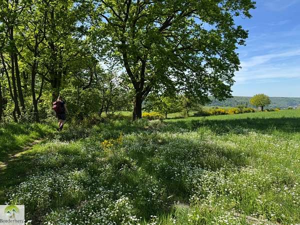 2-Tage-Abenteuer: Wandern auf Rheinsteig und RheinBurgenWeg 32 rheinsteig wandern