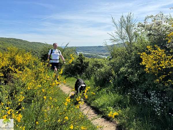 2-Tage-Abenteuer: Wandern auf Rheinsteig und RheinBurgenWeg 33 rheinsteig wandern