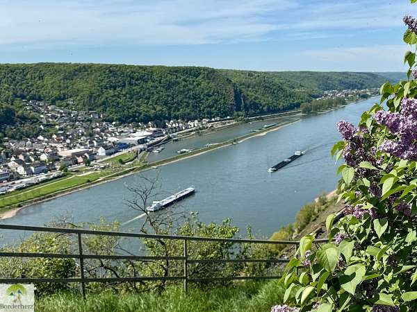 2-Tage-Abenteuer: Wandern auf Rheinsteig und RheinBurgenWeg 35 rheinbrohler ley