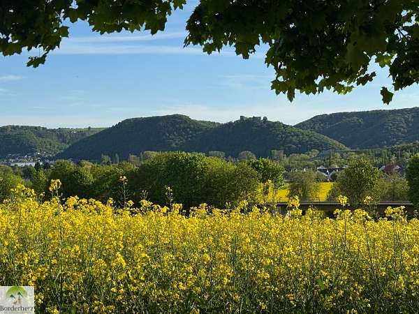 2-Tage-Abenteuer: Wandern auf Rheinsteig und RheinBurgenWeg 38 rheinsteig