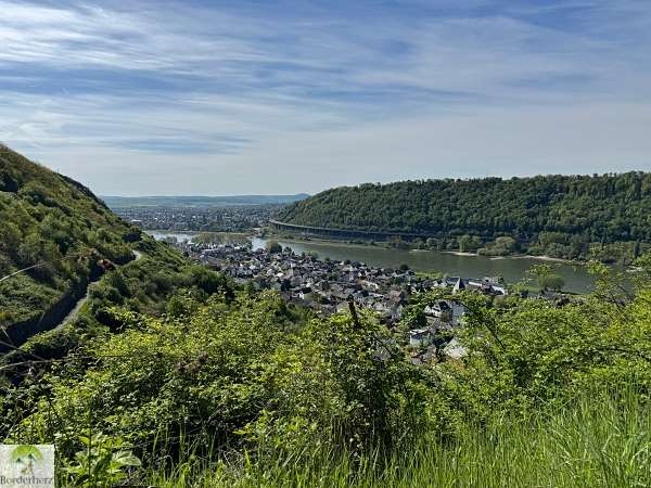 2-Tage-Abenteuer: Wandern auf Rheinsteig und RheinBurgenWeg 20 rheinsteig mit hund