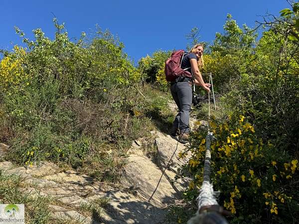 2-Tage-Abenteuer: Wandern auf Rheinsteig und RheinBurgenWeg 24 rheinsteig
