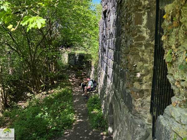 2-Tage-Abenteuer: Wandern auf Rheinsteig und RheinBurgenWeg 28 burg hammerstein