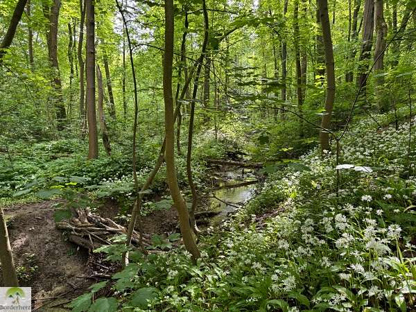 wanderungen in der region südharz kyffhäuser bleicheröder berge