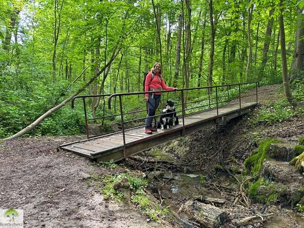 wanderungen in der region südharz kyffhäuser bleicheröder berge
