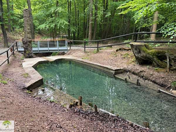 wanderungen in der region südharz kyffhäuser bleicheröder berge
