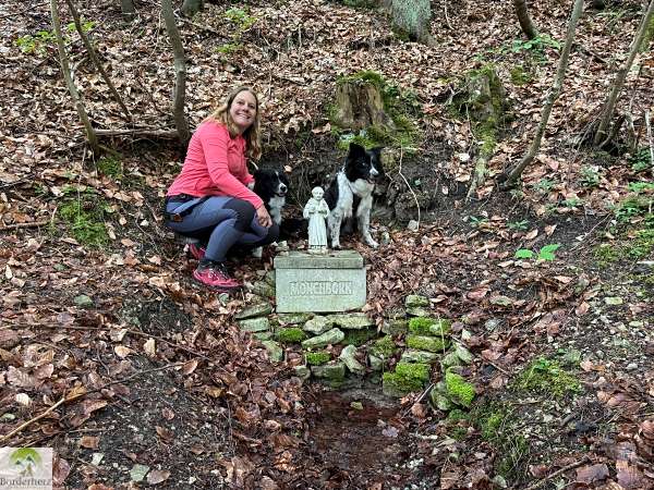 wanderungen in der region südharz kyffhäuser bleicheröder berge