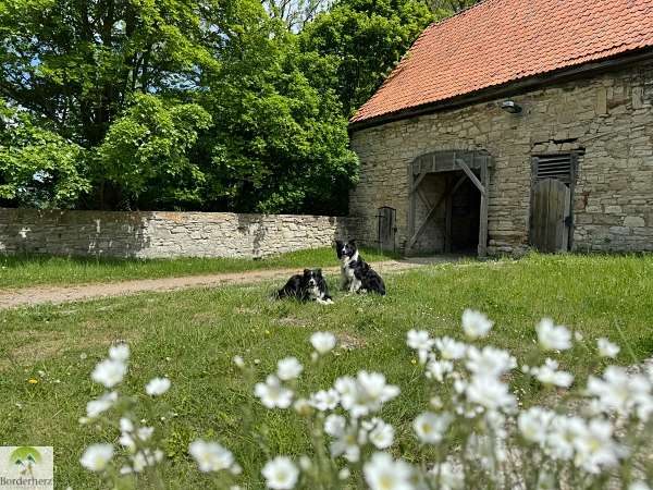 wanderungen in der region südharz kyffhäuser hainleite 1