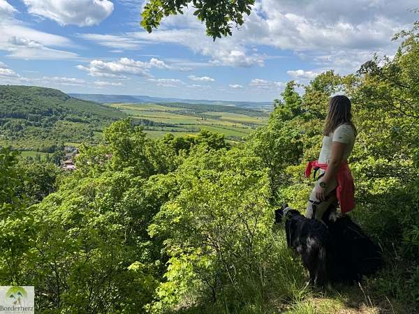 wanderungen in der region südharz kyffhäuser hainleite 1