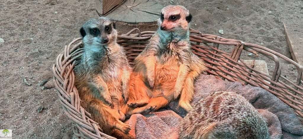 Freizeitpark Possen