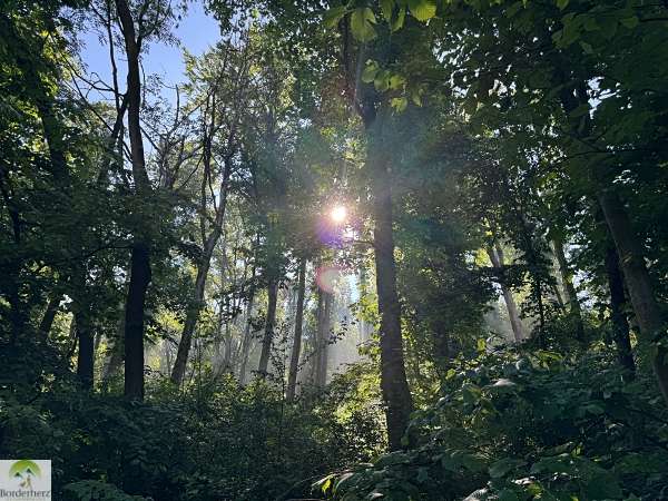 wanderungen in der region südharz kyffhäuser hohe schrecke