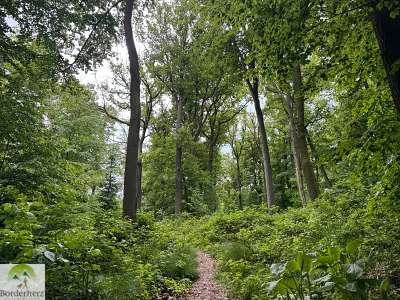 wanderungen in der region südharz kyffhäuser hohe schrecke