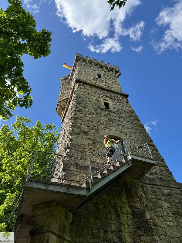 wanderungen in der region südharz kyffhäuser urwaldpfad possen
