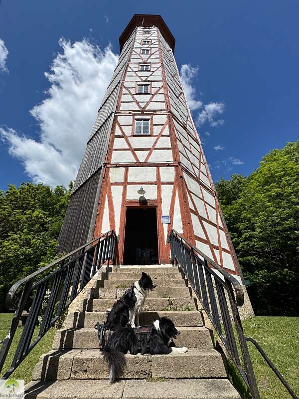 wanderungen in der region südharz kyffhäuser possenturm