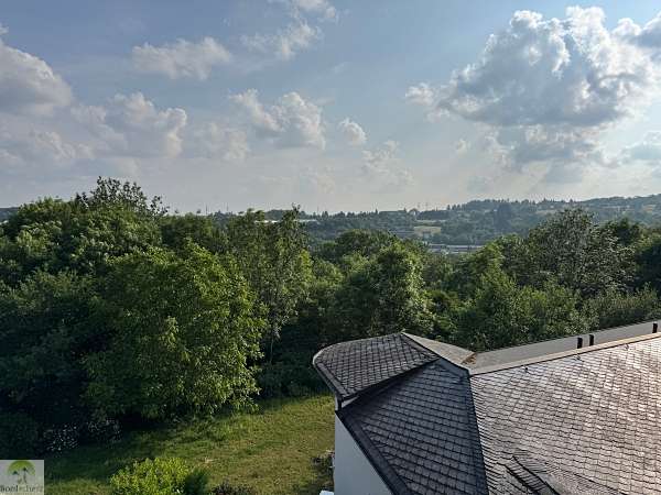 Wandern im EdelSteinLand: 3 Traumschleifen um Idar-Oberstein 52 Berghotel Kristall