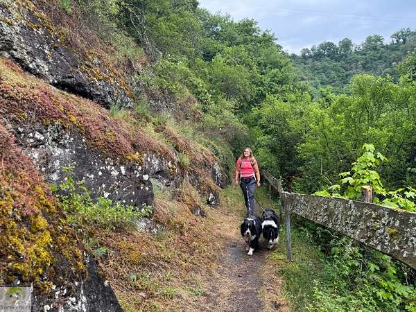 Wandern im EdelSteinLand: 3 Traumschleifen um Idar-Oberstein 5 traumschleife rund um die kama