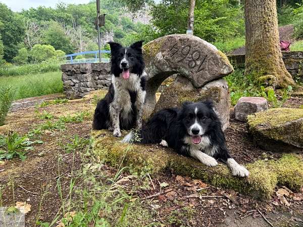 Wandern im EdelSteinLand: 3 Traumschleifen um Idar-Oberstein 6 traumschleifen edelsteinland