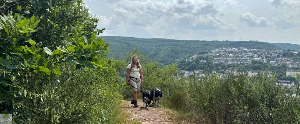 Wandern im EdelSteinLand: 3 Traumschleifen um Idar-Oberstein 12 wandern im edelsteinland