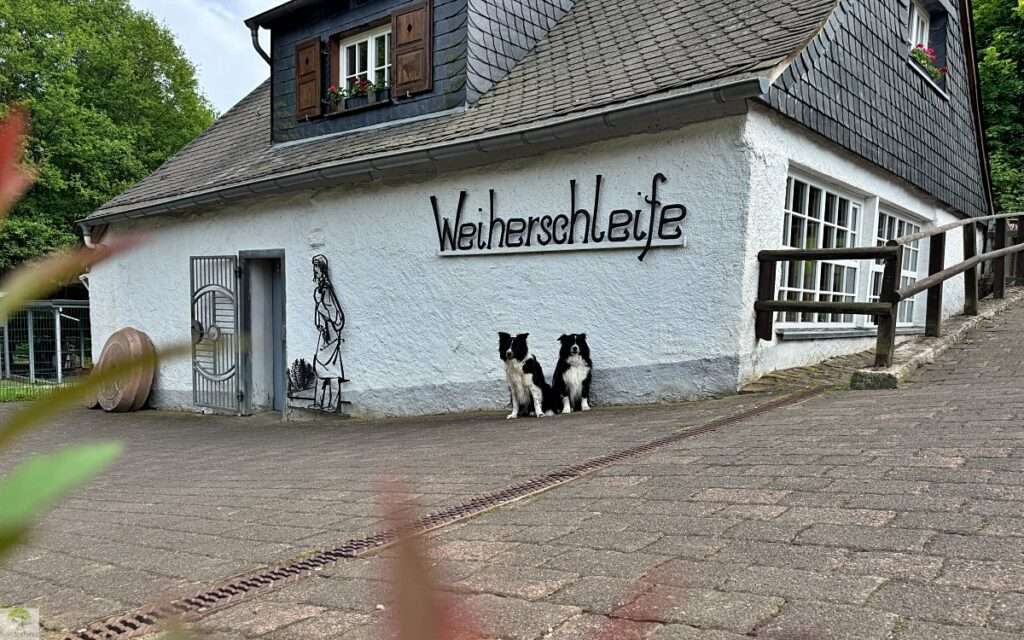 Wandern im EdelSteinLand: 3 Traumschleifen um Idar-Oberstein 8 Weiherschleife idar-oberstein