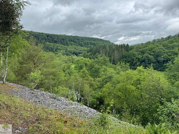 Wandern im EdelSteinLand: 3 Traumschleifen um Idar-Oberstein 36 Traumschleife Hahnenbachtaltour wandern im Edelsteinland
