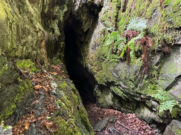 Wandern im EdelSteinLand: 3 Traumschleifen um Idar-Oberstein 40 Traumschleife Hahnenbachtaltour wandern im Edelsteinland