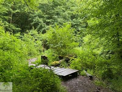 Wandern im EdelSteinLand: 3 Traumschleifen um Idar-Oberstein 41 Traumschleife Hahnenbachtaltour wandern im Edelsteinland
