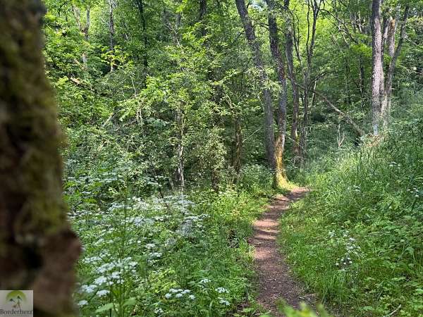 Wandern im EdelSteinLand: 3 Traumschleifen um Idar-Oberstein 13 Traumschleife Nahe-Felsen-Weg