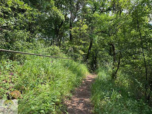Wandern im EdelSteinLand: 3 Traumschleifen um Idar-Oberstein 20 Traumschleife Nahe-Felsen-Weg
