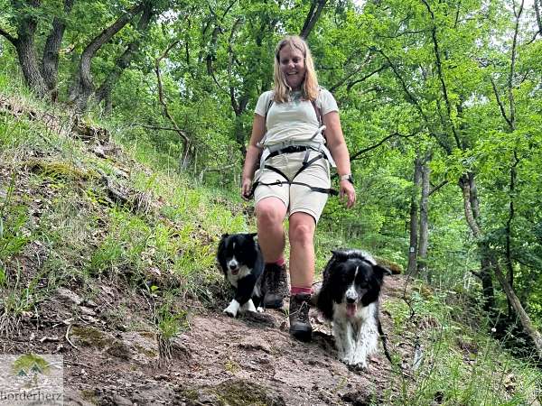 Wandern im EdelSteinLand: 3 Traumschleifen um Idar-Oberstein 21 Traumschleife Nahe-Felsen-Weg
