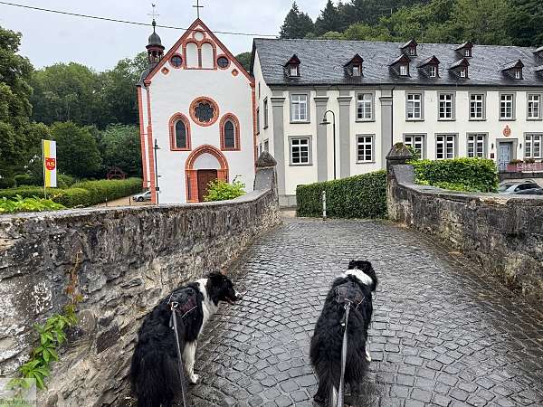 Traumpfade am Rhein: 2 Touren für's Wochenende 32 traumpfad sayner aussichten am rhein