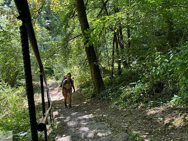 Traumpfade am Rhein: 2 Touren für's Wochenende 8 traumpfade am rhein