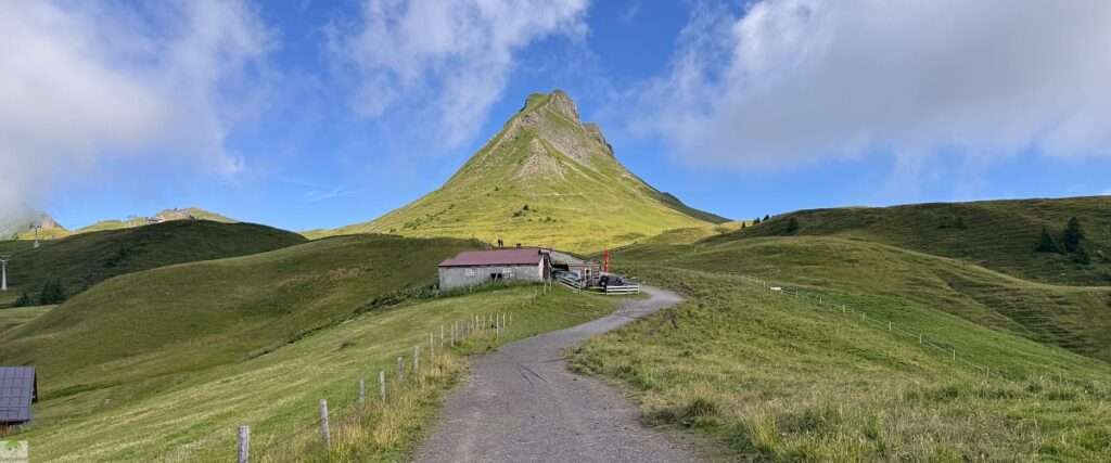 Vorarlberg | Wandern im Bregenzerwald | die Höhenrunde Damüls im Großen Walsertal 3 Wandern im Bregenzerwald Großes Walsertal Damüls