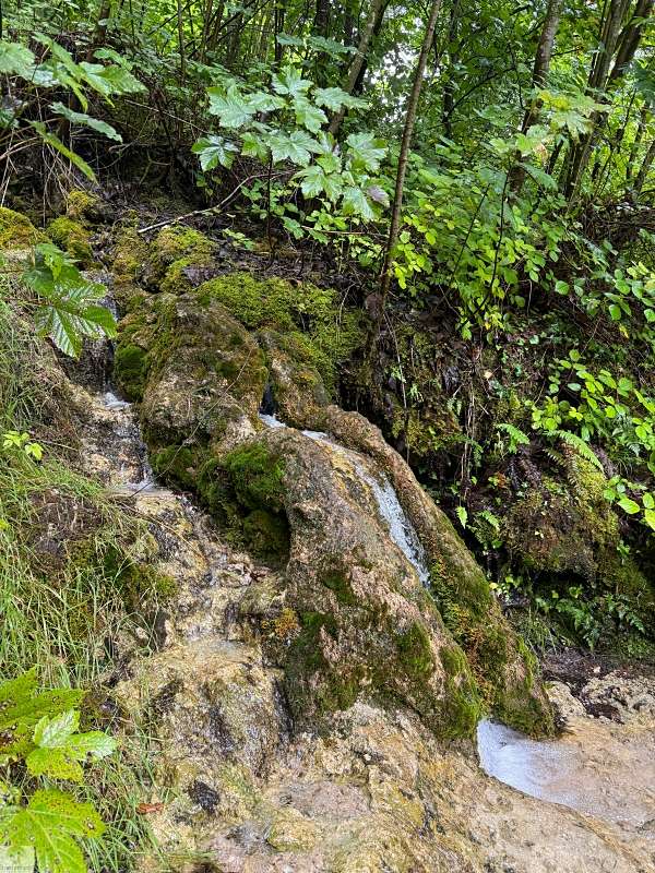 Vorarlberg | Wandern im Brandnertal | Naturwunder Bürser Schlucht 3 Bürser Schlucht Wanderung