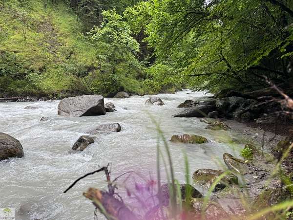 Vorarlberg | Wandern im Brandnertal | Naturwunder Bürser Schlucht 5 Bürser Schlucht Wanderung