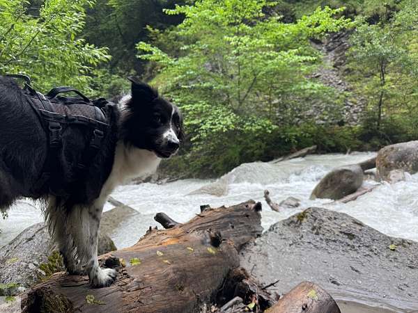 Vorarlberg | Wandern im Brandnertal | Naturwunder Bürser Schlucht