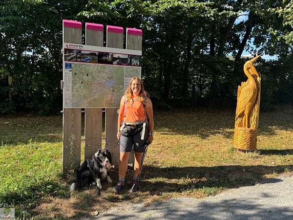 Hohe Mark Steig mit Hund - 4 Tage Wandern: Tipps & Erfahrungen 2 hohe mark steig mit hund 01