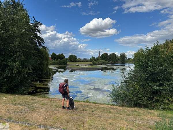 Hohe Mark Steig mit Hund - 4 Tage Wandern: Tipps & Erfahrungen 47 Hohe Mark Steig Etappe 6