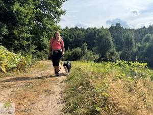 Hohe Mark Steig mit Hund - 4 Tage Wandern: Tipps & Erfahrungen 15 Hohe Mark Steig mit Hund