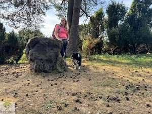Hohe Mark Steig mit Hund - 4 Tage Wandern: Tipps & Erfahrungen 16 Hohe Mark Steig mit Hund