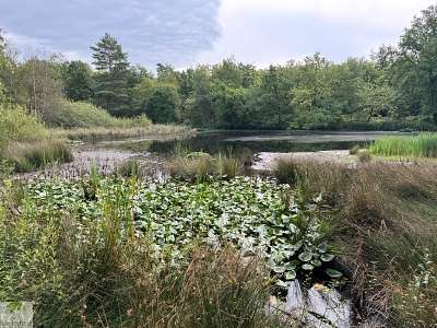 Hohe Mark Steig mit Hund - 4 Tage Wandern: Tipps & Erfahrungen 32 HMS Hohe Mark Steig wandern