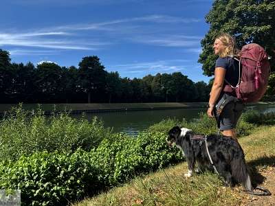 Hohe Mark Steig mit Hund - 4 Tage Wandern: Tipps & Erfahrungen 39 Hohe Mark Steig Etappe 6