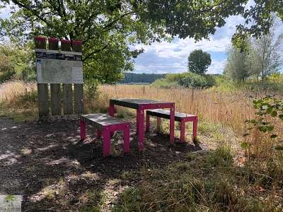 Hohe Mark Steig mit Hund - 4 Tage Wandern: Tipps & Erfahrungen 43 Hohe Mark Steig Etappe 6