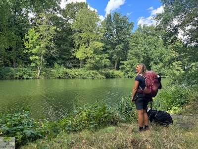 Hohe Mark Steig mit Hund - 4 Tage Wandern: Tipps & Erfahrungen 44 Hohe Mark Steig Etappe 6