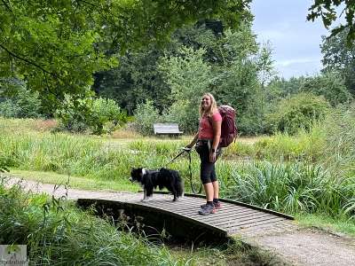Hohe Mark Steig mit Hund - 4 Tage Wandern: Tipps & Erfahrungen 8 Hohe Mark Steig Etappe 4