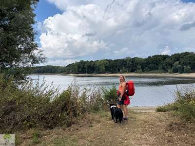 Hohe Mark Steig mit Hund - 4 Tage Wandern: Tipps & Erfahrungen 62 Hohe Mark Steig Wasserroute