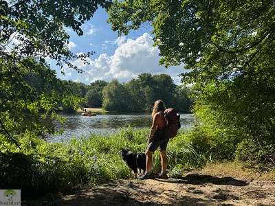 Hohe Mark Steig mit Hund - 4 Tage Wandern: Tipps & Erfahrungen 64 Hohe Mark Steig Wasserroute