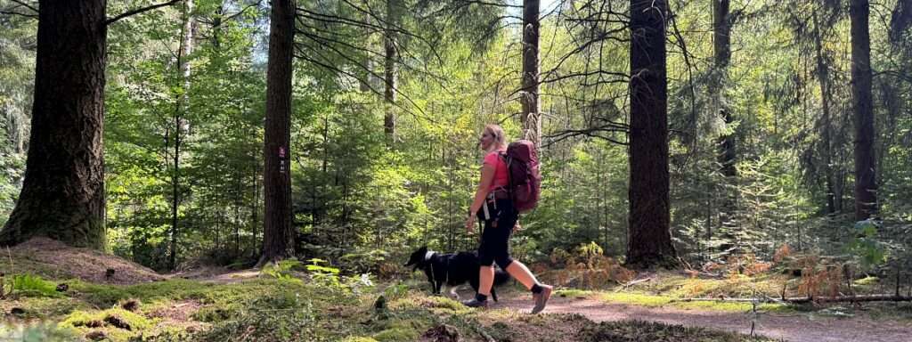 Hohe Mark Steig mit Hund - 4 Tage Wandern: Tipps & Erfahrungen 13 hohe mark steig mit hund header 03